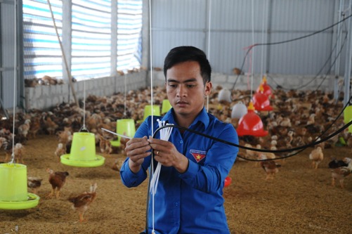 Anh Phạm Đình Đạo lắp đặt hệ thống tiếp nước tự động cho gà